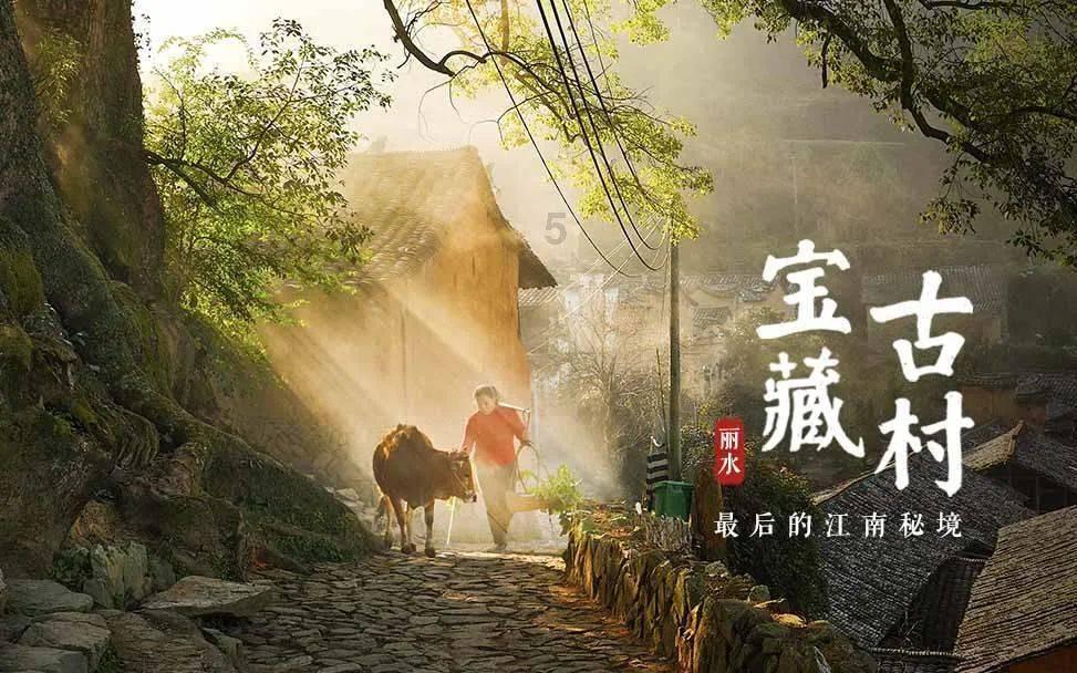 逗小猴开心系列179